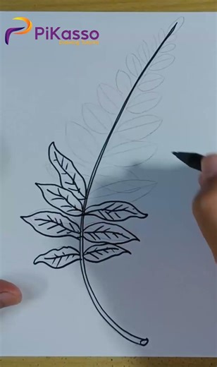 Fun and Easy Fern Drawing Tutorial