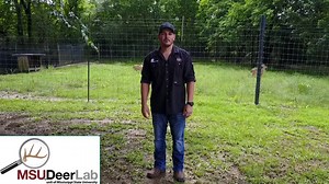 30K views · 195 reactions | Have you ever wondered what its like for...