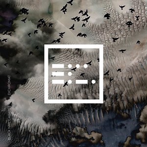 Black Nail Cabaret - Dichromat