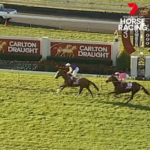 "Ladies and Gentlemen salute a sprinting champion in Apache Cat." 👏 Apache Cat was a two-time winner of the Doomben 10,000! | 7HorseRacing