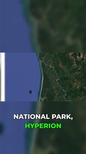 Meet Hyperion: The World's Tallest Tree