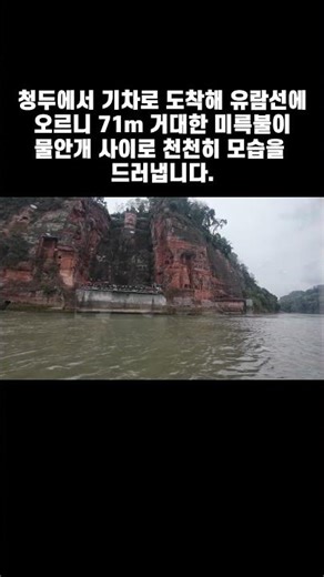 낙산대불 #shorts #청두여행 #낙산대불#사천성