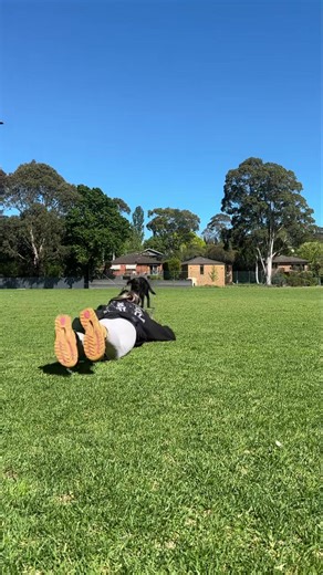 1.7K views · 39 reactions | Toy play is a powerful tool when it comes...