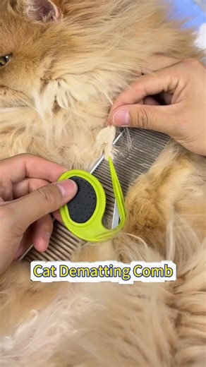 Cat dematting comb #cat #bestpetsupplies #petcareprovider