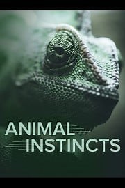 Watch Animal Instincts Season 1 Episode 4 - Designed to Hunt