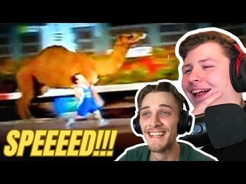4 Little People VS 1 Regulation Camel