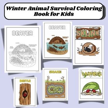 Animals in Winter Coloring Pages | Hibernation, Brumation, Dormancy