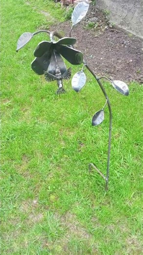 cómo toma néctar el colibri