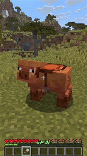 Upcoming Minecraft Update Details and Memes Revealed