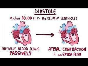 Normal Heart Sounds, provided by Osmosis from Elsevier