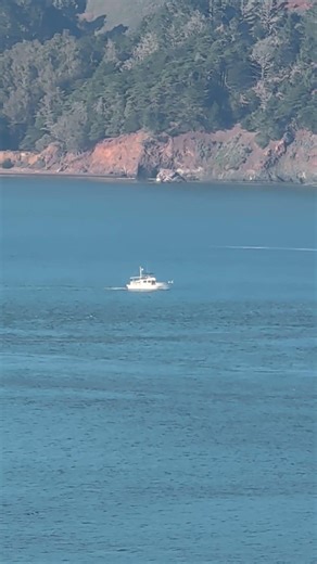 pleasure craft 1/22/26