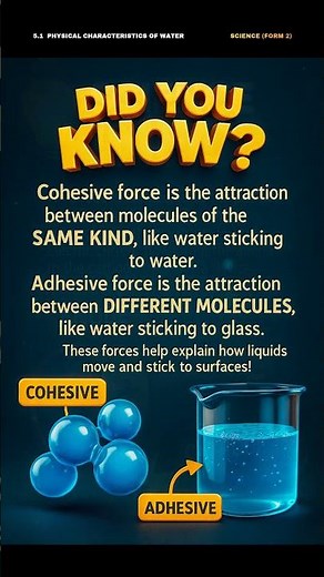 Chapter 5 : Water and Solution (SCIENCE FORM 2) #SCIENCE #SAINS #DLP #FOEM2 #F2 #T2 #CHAPTER5