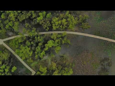 The Boardwalk at Lake Weatherford
