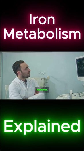 Iron in the Body and Hemochromatosis | Understanding Iron Metabolism and Overload