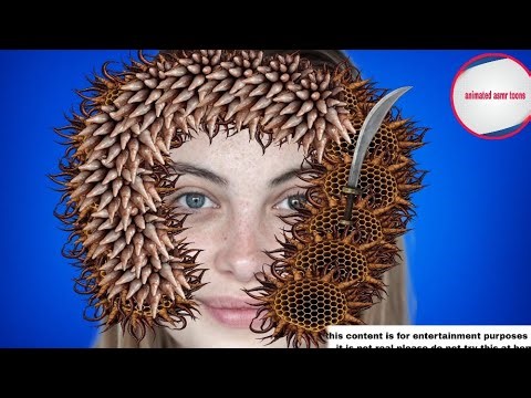 Relax asmr head treatment animation video