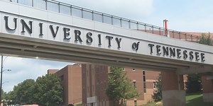 Tennessee bills could strip professors of tenure status