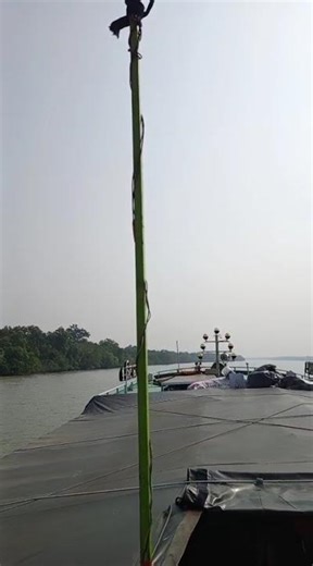 Incredible Sundarban Travel Blog | Hidden Beauty of Bangladesh #trending #viral #shorts #travel