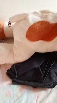 19 de fevereiro de 2026