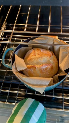 Did you know you can make your own bread with just 2 INGREDIENTS and a dutch oven, in the same day? Why yes, I tried this method and can confirm you can. Today I am showing you how to make 2-INGREDIENT DUTCH OVEN BREAD! I have made this both gluten-free using gluten-free flour and using regular flour, and they are both amazing. The regular version produces a much FLUFFIER bread and the gf version is denser—but still delicious. Up to you which version you try, the measurements are the same for bo