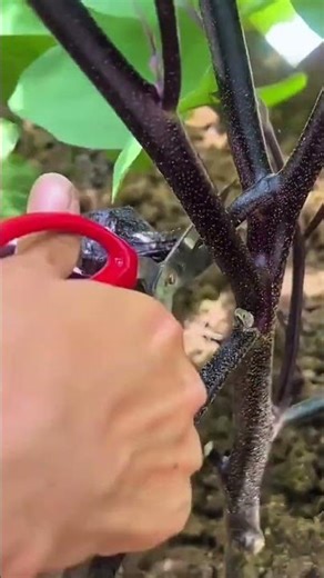 Blurred computer screen showing online form with text, options, and incomplete answers visible