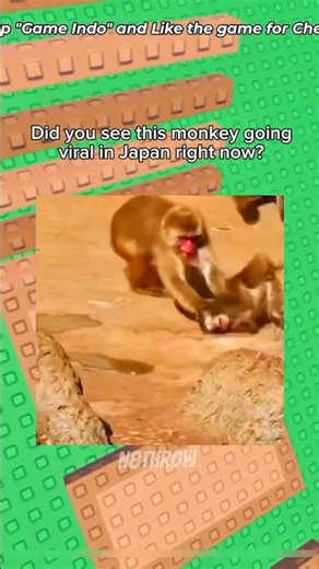 The Saddest Monkey Story on the Internet Right Now (Punch) ☹️ #roblox #robloxrant #punch