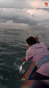 7.6K views · 89 reactions | Catching Vermillion Snapper & Queen Fish in the Sea #fishing #fishingvideos #fishingtime | Neerulagam | Facebook