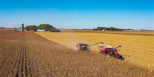 Local farmer weighs in on harvest season