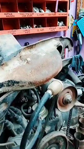 my organizational skills are unmatched #Organizing #BoltBin #FemaleMechanic | Fayehhadley