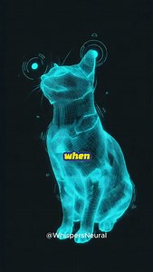 1.3M views · 62K reactions | Your Cat Understands More Than You Think ✨ (The Psychology of Tone)” When you talk to your cat, they’re not listening to your words — they’re listening to your energy. #CatPsychology #CatsOfTikTok #CatLovers #CatBehavior #PetPsychology | Whispers Neural | Facebook