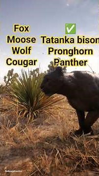 All legendary animals location part 2 in Red dead redemption 2 #rdr2