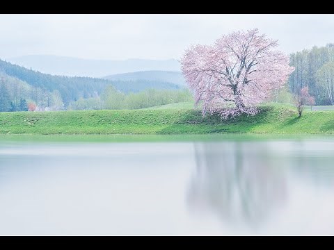 【東京カメラ部2020写真展 Online Exhibition】北海道 東川町 Visit Higashikawaインスタライブ（ゲスト：東川町長 松岡市郎氏・東京カメラ部10選井上浩輝氏）
