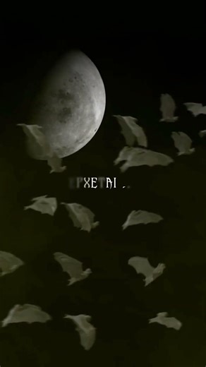 🚨 ΝΕΟ 👻 Tο Στοιχειωμένο Podcast #μυστήριο