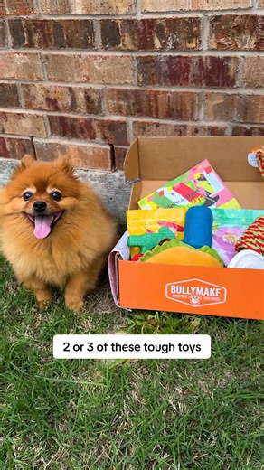 If your dog can break these toys, they will replace them. | BULLYMAKE