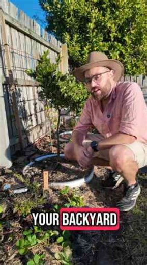 The one step most people forget after digging in their backyard