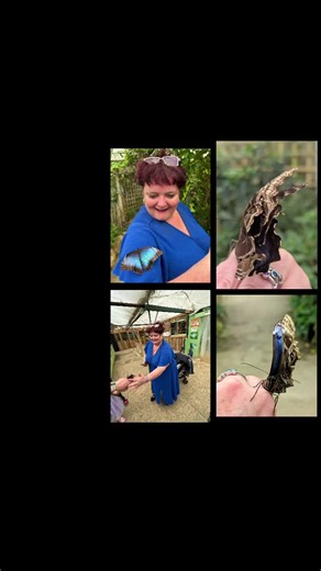 tracylove321 (@tracylove321)’s videos with Who Says - Countdown Singers