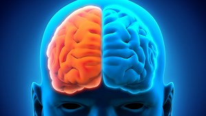 Glemsk? Da kan du være skikkelig smart