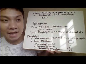 PLATELET ULTRASTRUCTURE PART 1