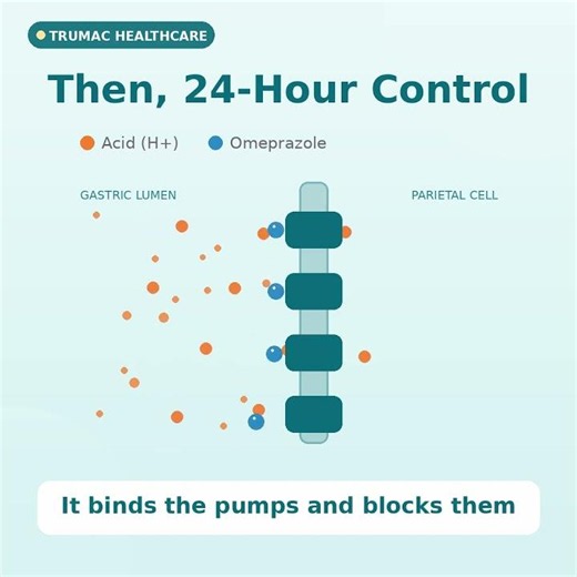 How Buffered Omeprazole Works | Fast-Onset Acid Control | TRUZOLE-INSTA