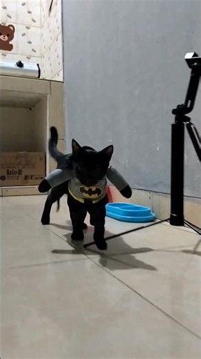 Black Batman