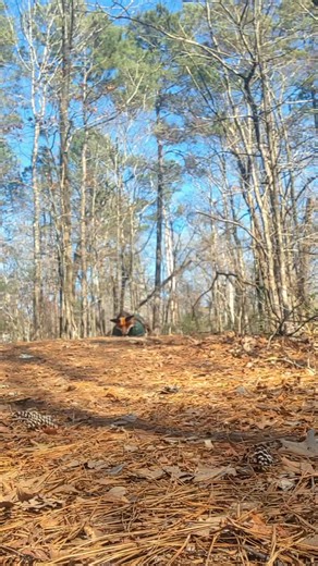 how to know if you're a therian (based off of personal experience) feel free to put your personal experience of how you were awakened to therianthropy in the comments @◠◠ Zayne ₊ 🐾 since you asked how to know you're a therian, here's a video! I hope this helps you out #therianthropy #therian #theriantiktok #fyp #viralvideo