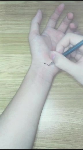 Hand-Drawn Artistic Skills: A Showcase | TikTok