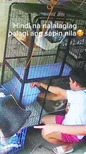 Hindi na rin lumulusot ang mga paa nila🥰 #cat #catsoftiktok #rescueanimals #rescuecat