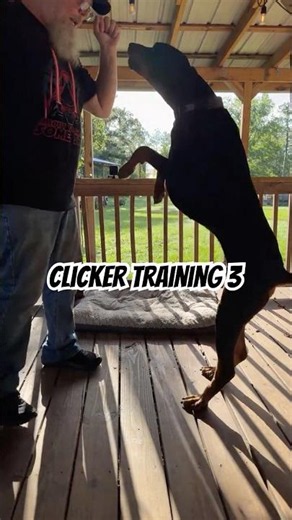 Doberman Clicker Training Part 3 | He’s Starting To Get It 🐾