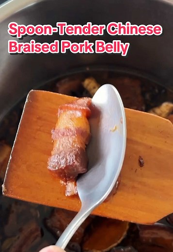 Perfect Instant Pot Chinese Braised Pork Belly Recipe