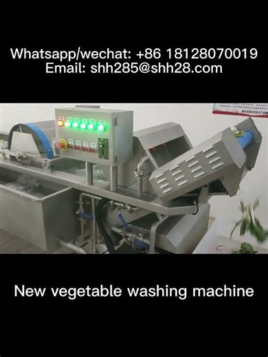 Commercial vegetable washing machine vegetable cleaning machine vegetable washer fruit cleaner