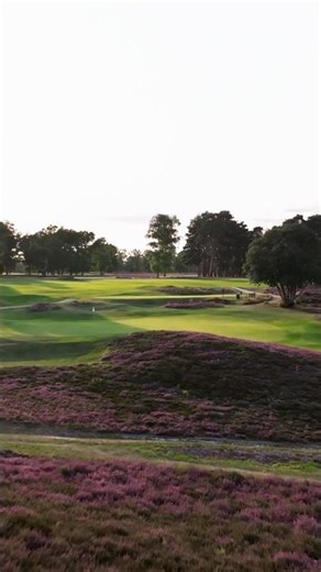 The 16th at West Sussex Golf Club