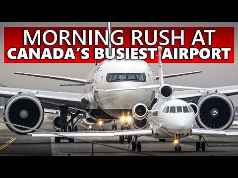 MORNING RUSH at CANADA'S BUSIEST AIRPORT - Toronto-Pearson Plane Spotting (4K)