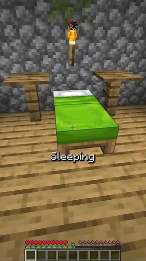 Minecraft Bed Bug Nightmare: Sleeping Safely Again