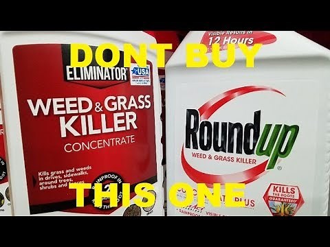 ROUND UP VERSUS WALMART ELIMINATOR WEED KILL REVIEW