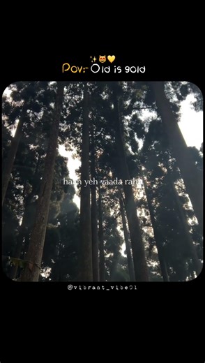 Yeh vaada Raha song 💥✨😻। Aesthetic lyrics status। #lovestatus #love #old #aestheic